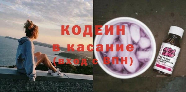 индика Алексеевка