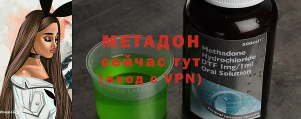 индика Алексеевка