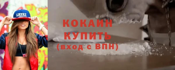 PSILOCYBIN Покачи