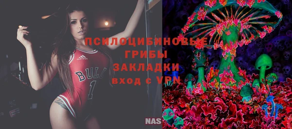индика Алексеевка