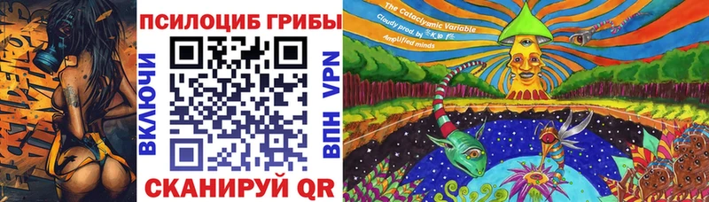 даркнет наркотические препараты  Харовск  Псилоцибиновые грибы Psilocybine cubensis 